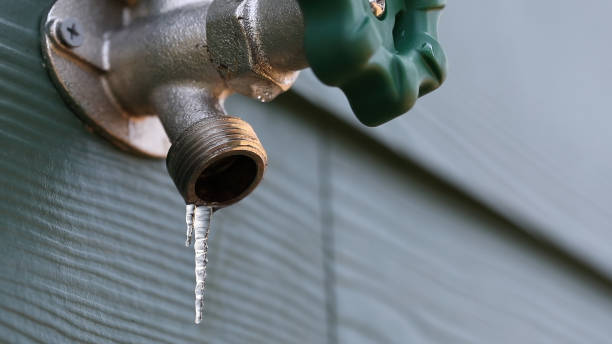 Best Sewer Line Repair  in Flower Hill, NY